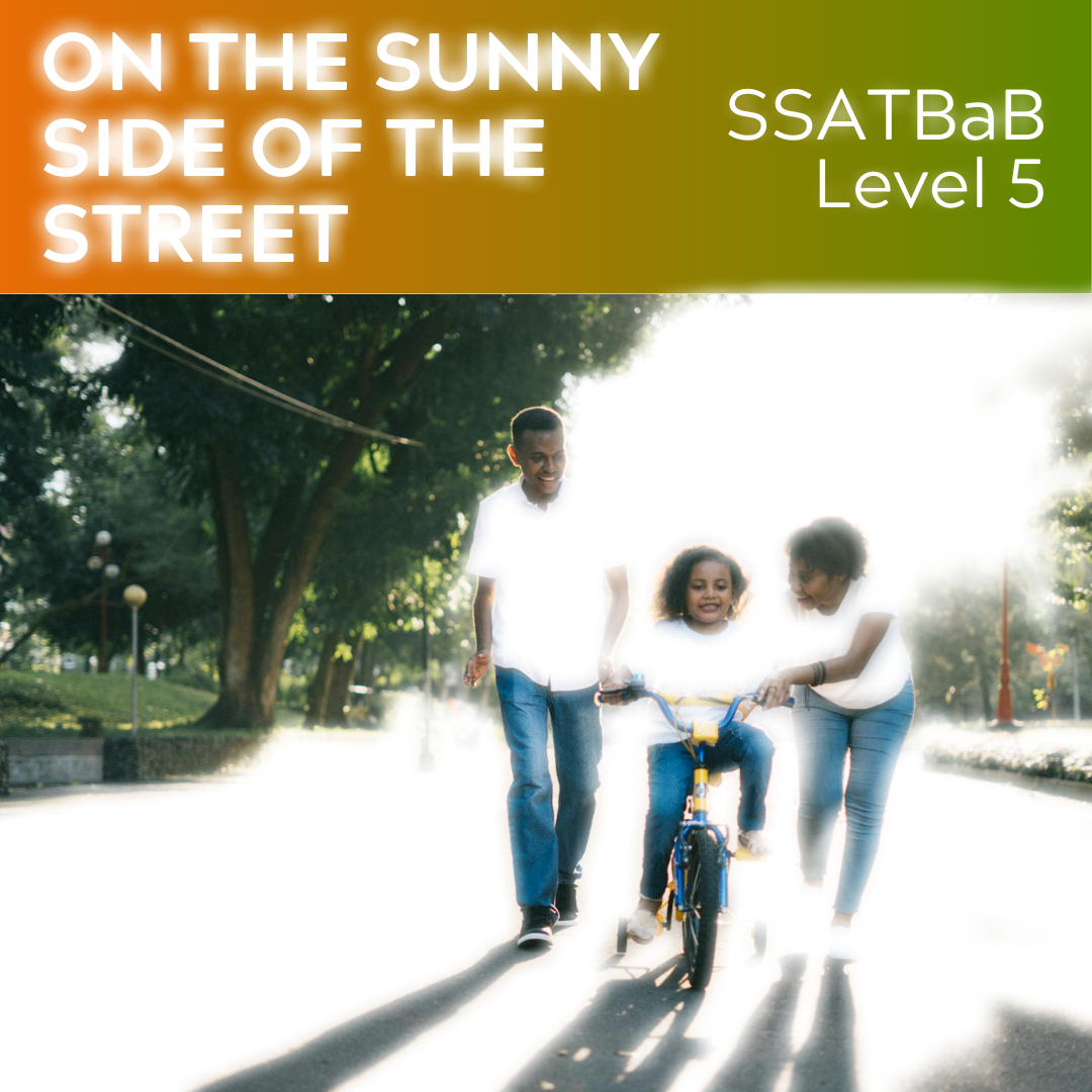 On the Sunny Side of the Street (SSATBaB - L5)