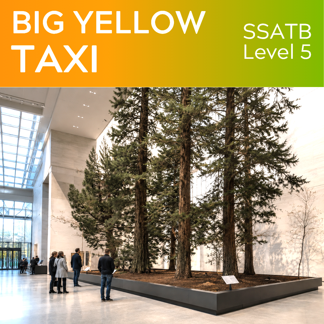 Big Yellow Taxi (SSATB - L5)