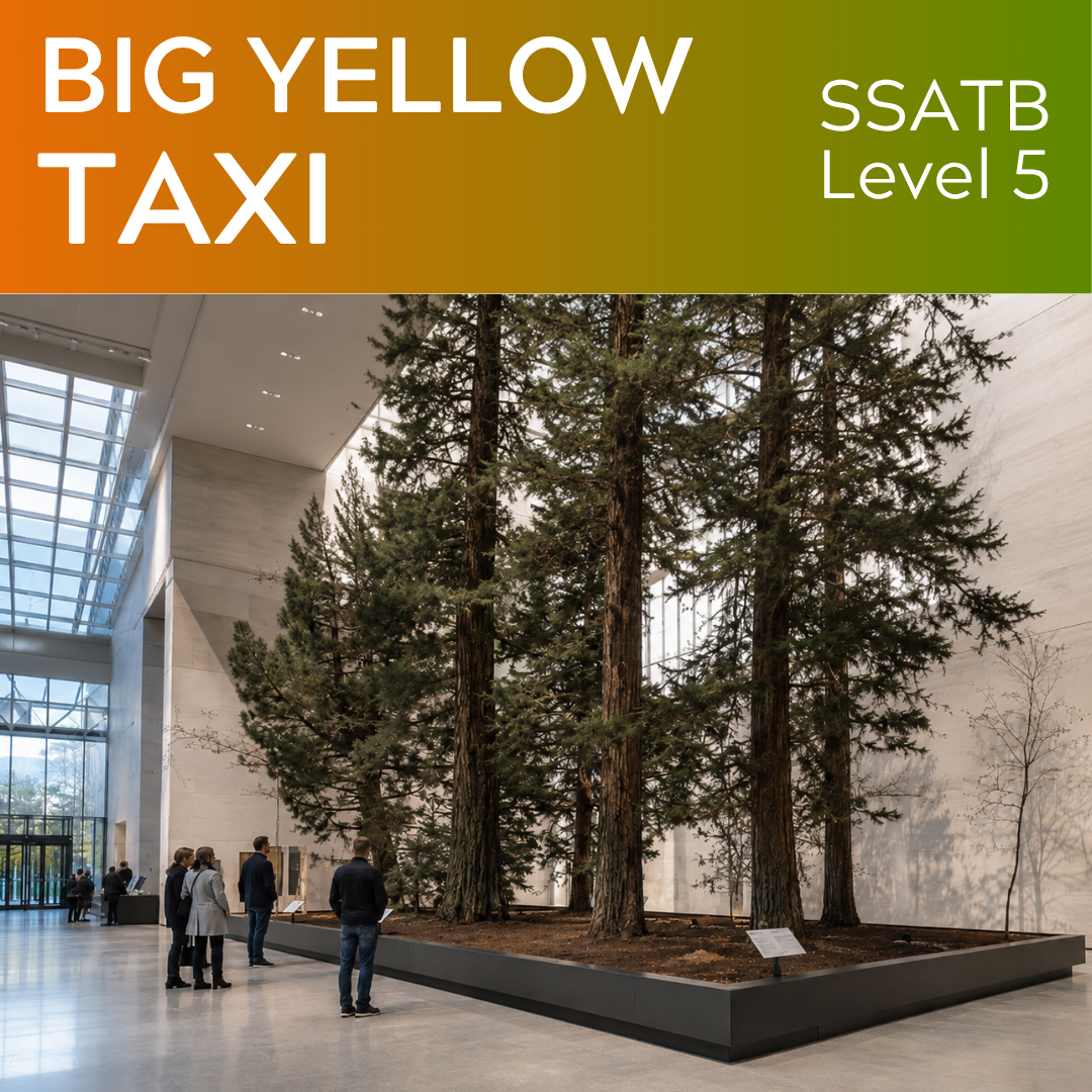 Big Yellow Taxi (SSATB - L5)