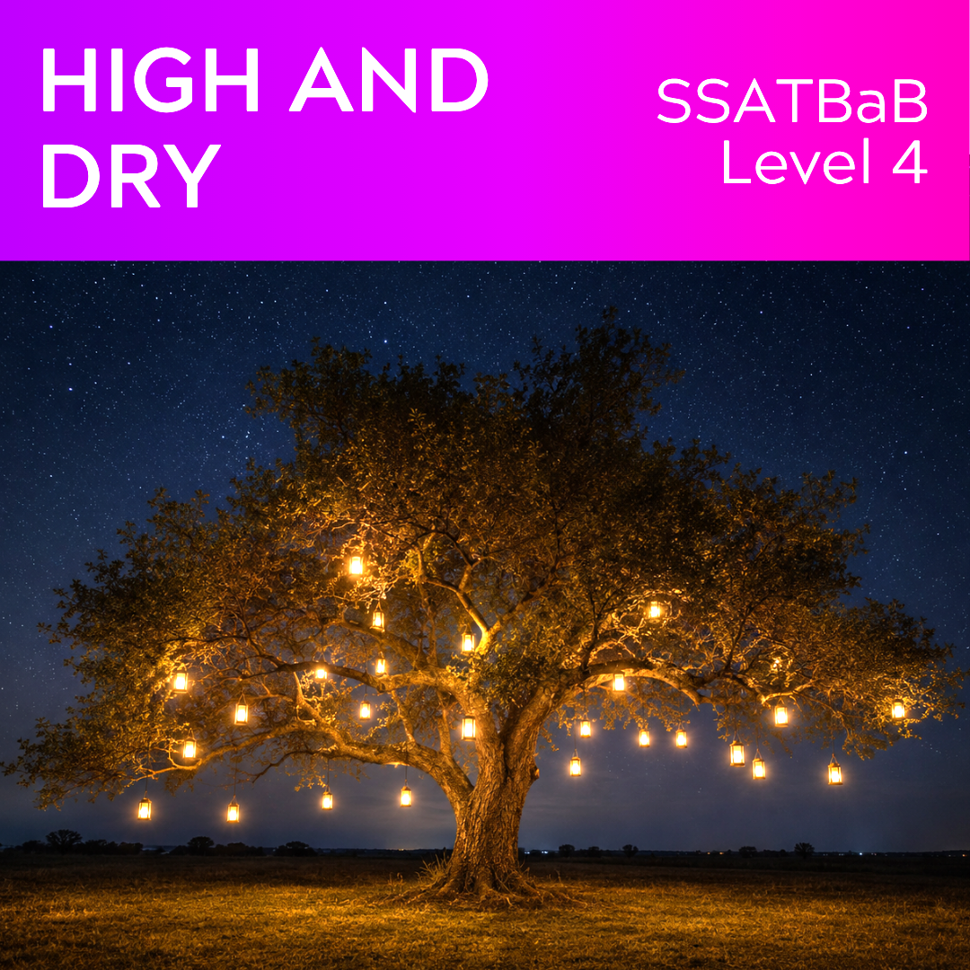 Hoch und trocken (SSATBaB – L4)